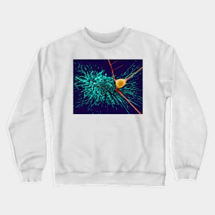 Astrocytic glial cell with cortical neuron, SEM (C032/0041) Crewneck Sweatshirt